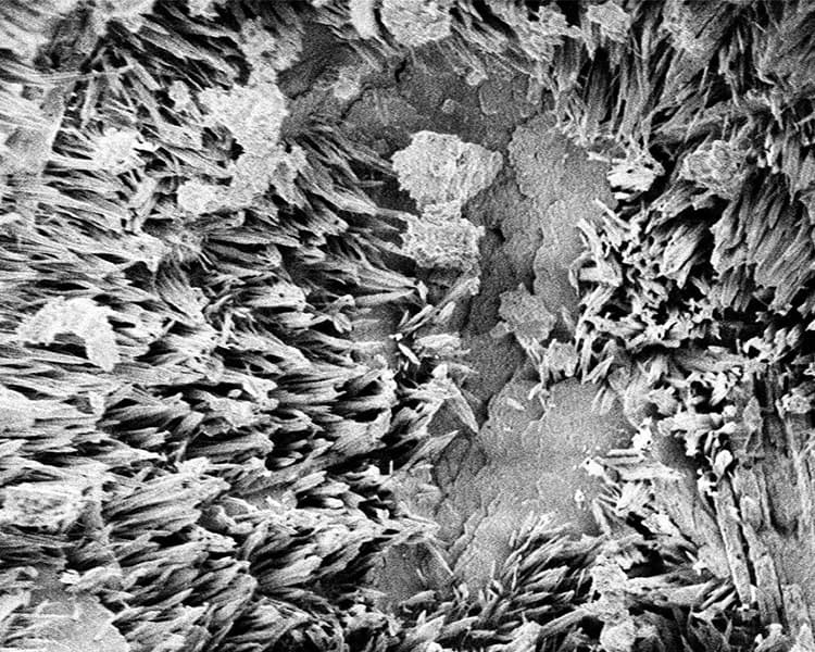 ザイペックス工法